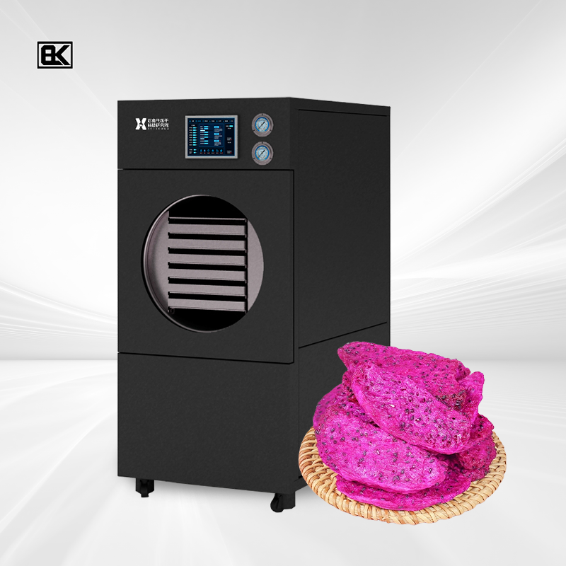 How Bolaike’s Freeze Drying Technology Meets Modern Home Needs